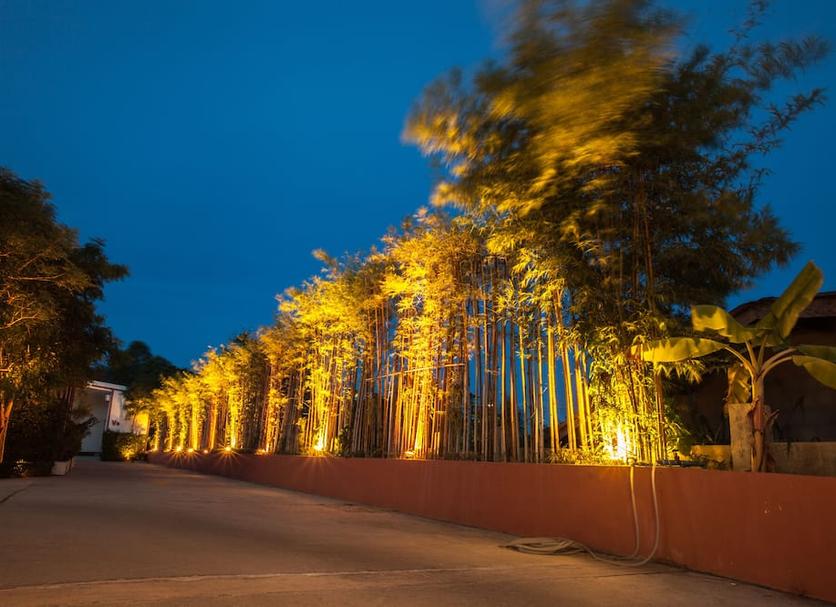 Cảnh ngoài trời Ảnh