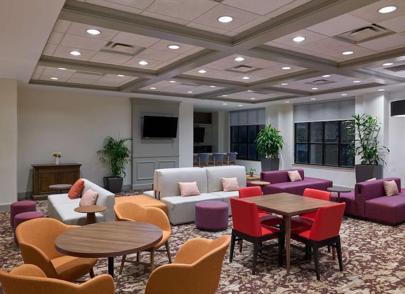 Lounge Ảnh