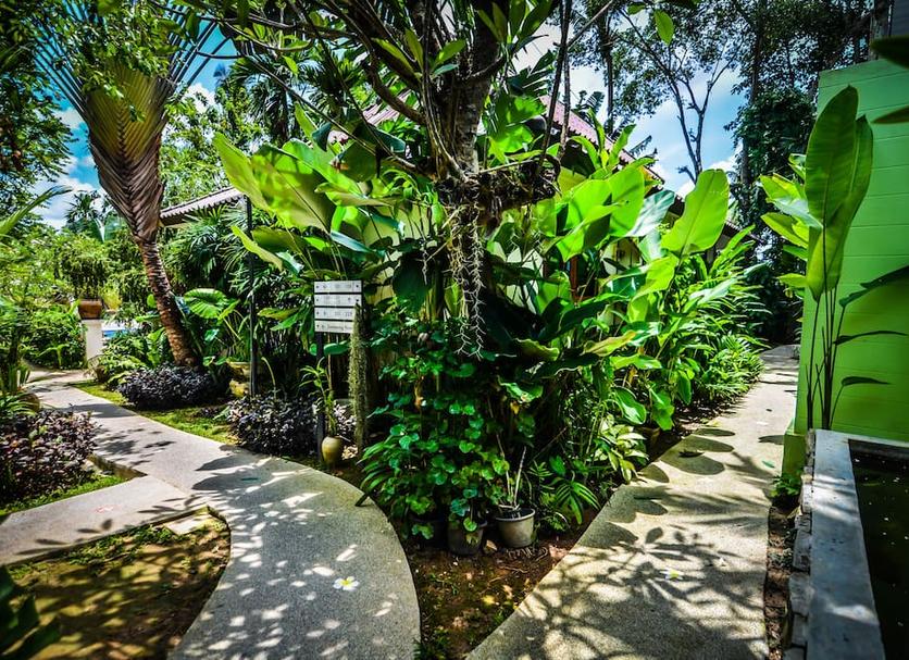 Cảnh ngoài trời Ảnh