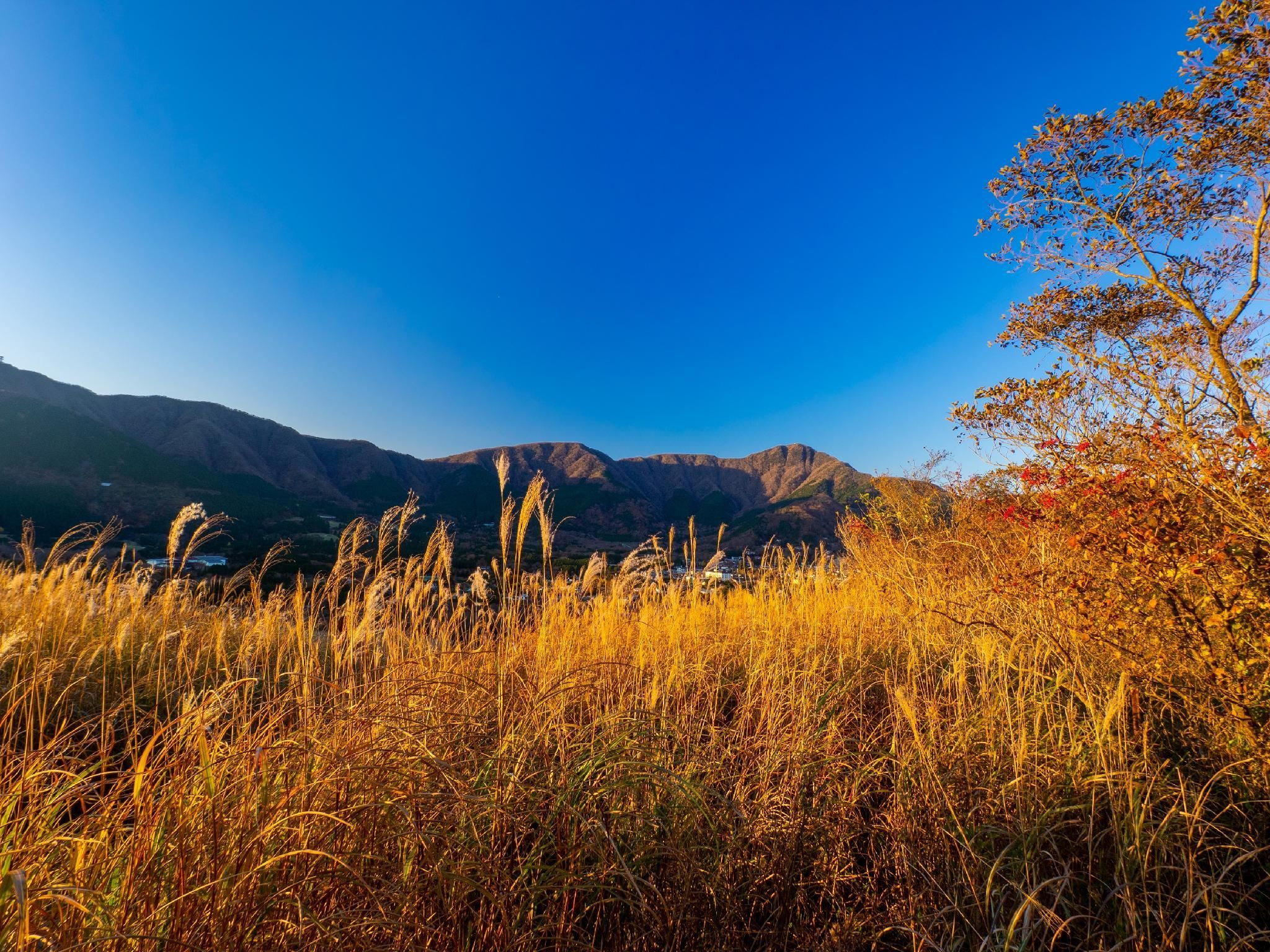 Cảnh ngoài trời