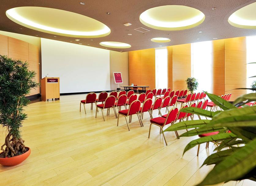 Conference room Ảnh