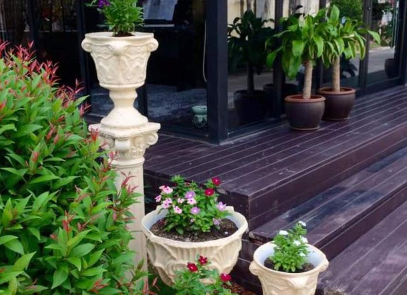 Cảnh ngoài trời Ảnh