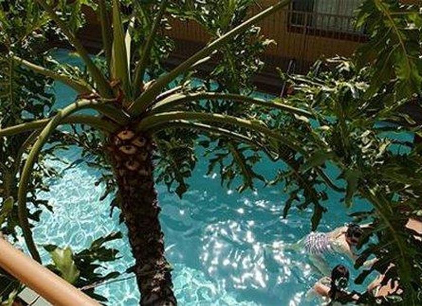 Cảnh ngoài trời Ảnh