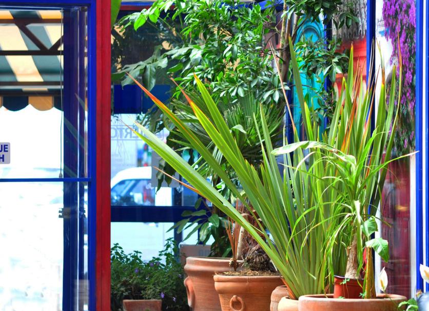 Cảnh ngoài trời Ảnh