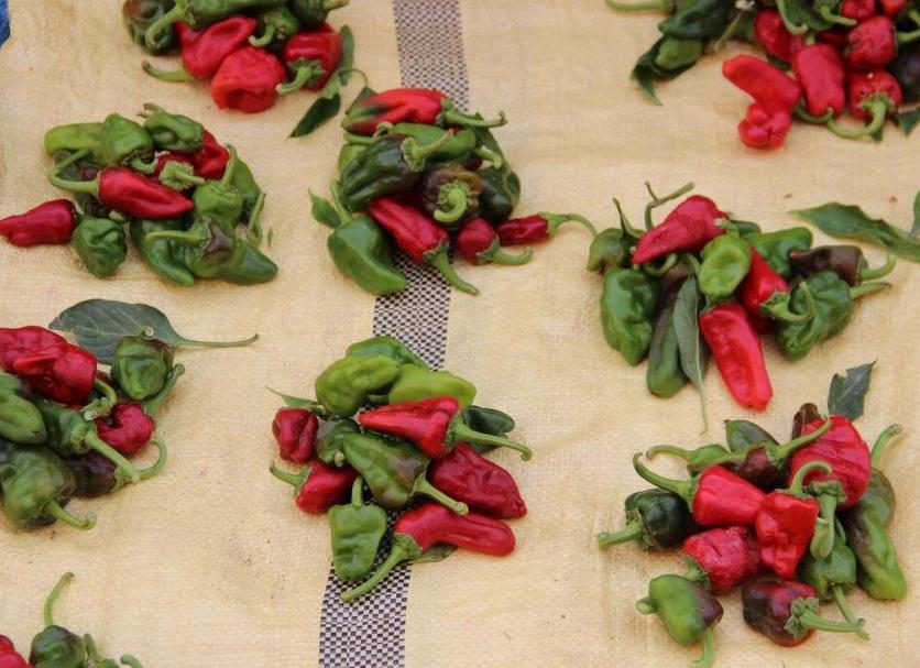 Cảnh ngoài trời Ảnh