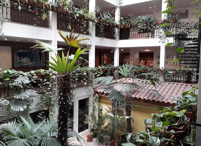 Cảnh ngoài trời Ảnh