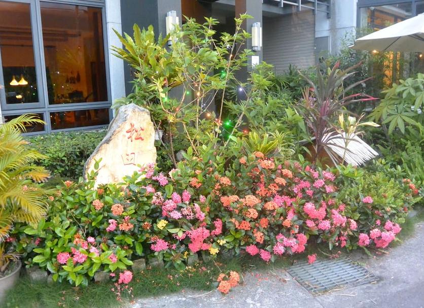 Cảnh ngoài trời Ảnh
