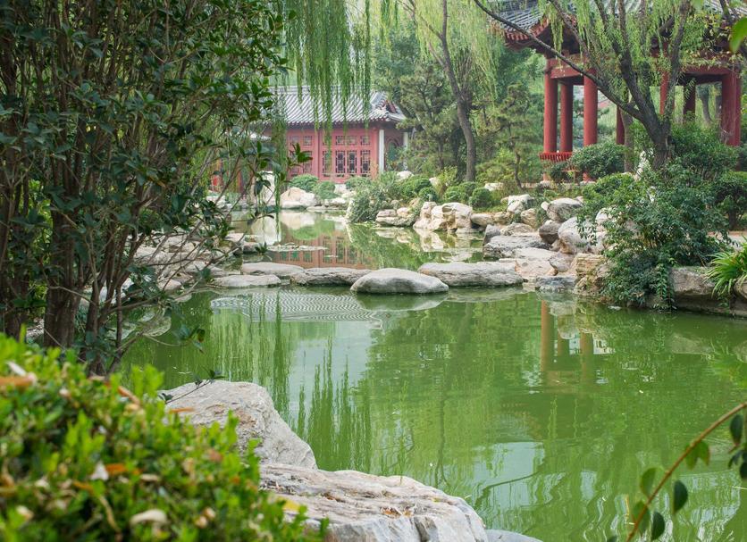 Cảnh ngoài trời Ảnh