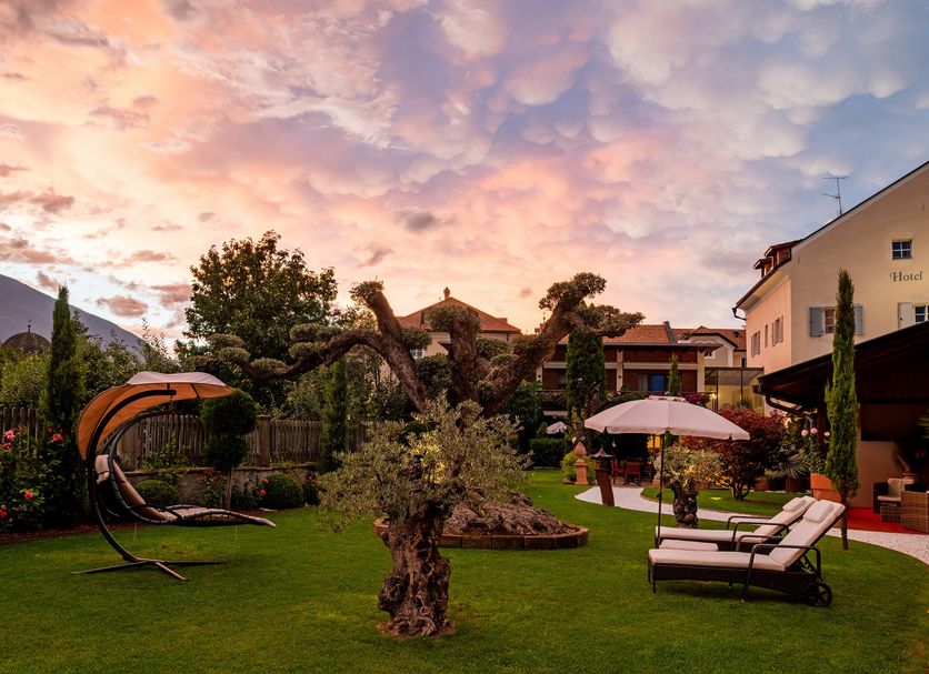 Cảnh ngoài trời Ảnh