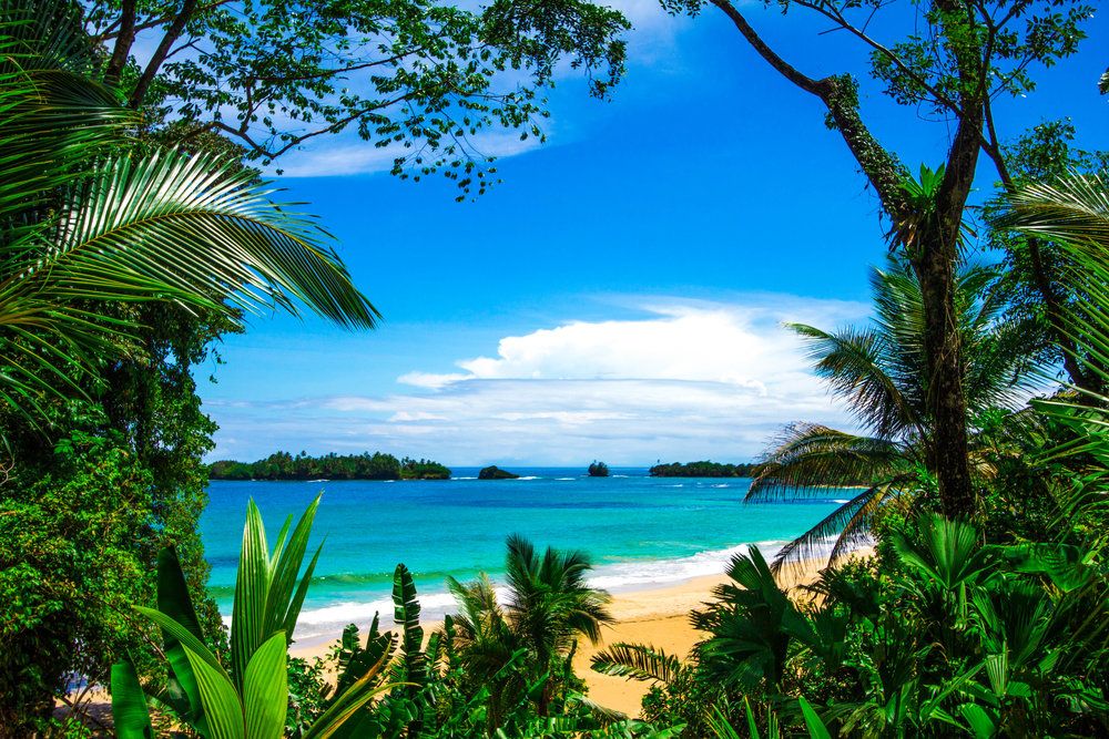 Bãi biển