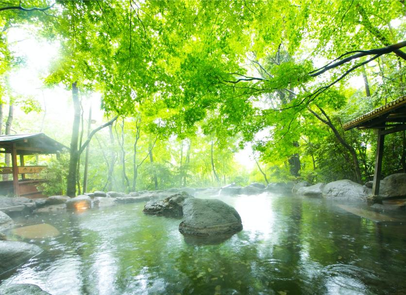 Spa Ảnh