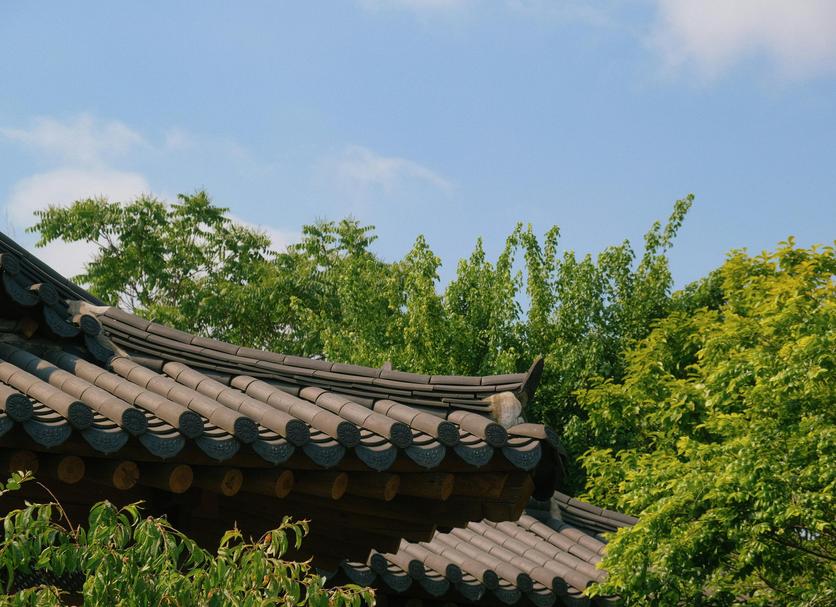Cảnh ngoài trời Ảnh