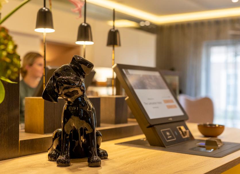 Hotel amenity Ảnh
