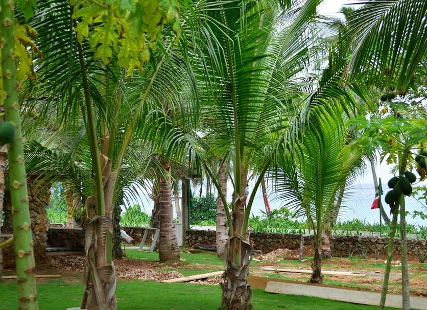 Cảnh ngoài trời Ảnh