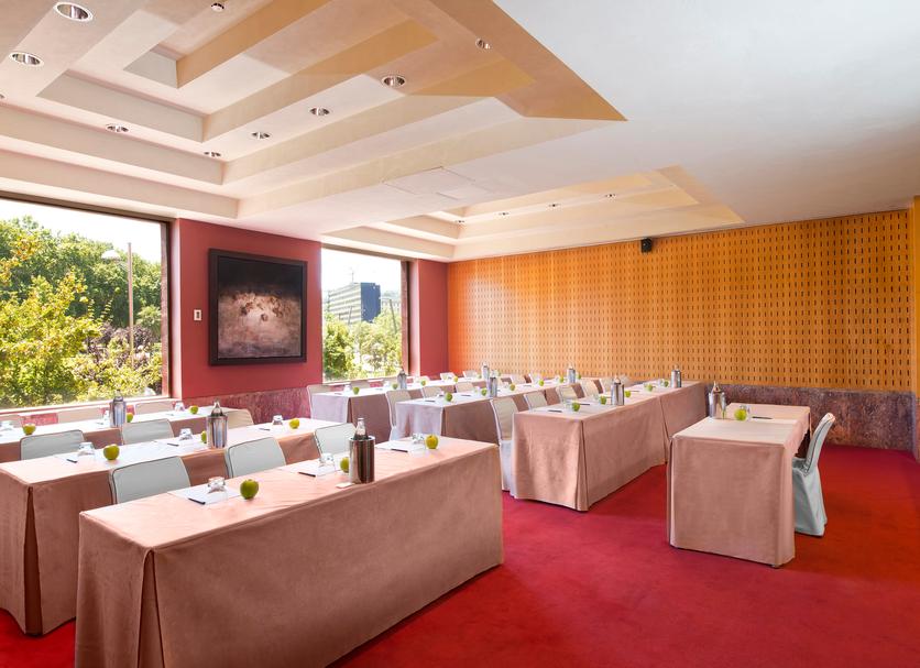 Conference room Ảnh