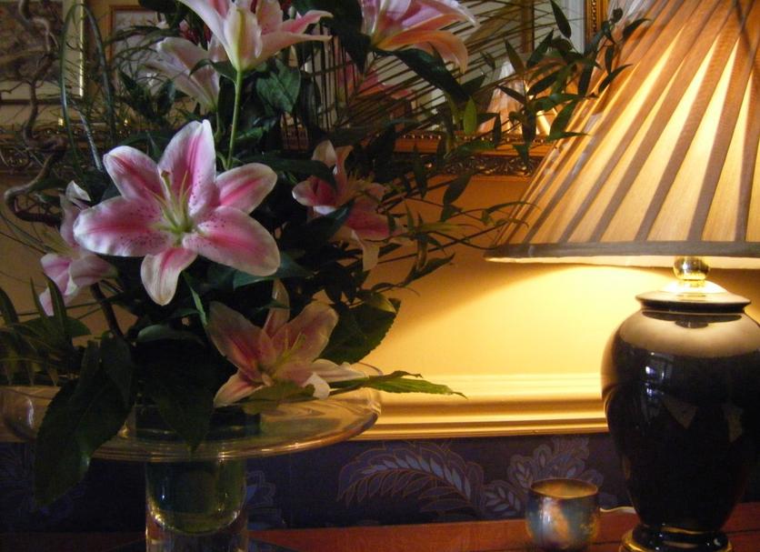 Trang trí Ảnh