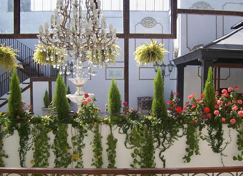 Cảnh ngoài trời Ảnh