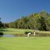 Sân golf