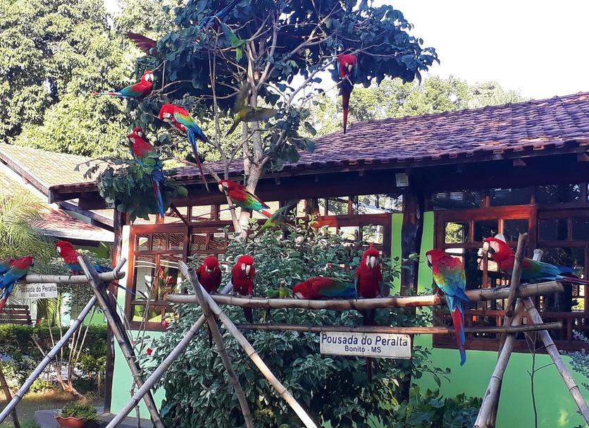 Cảnh ngoài trời Ảnh
