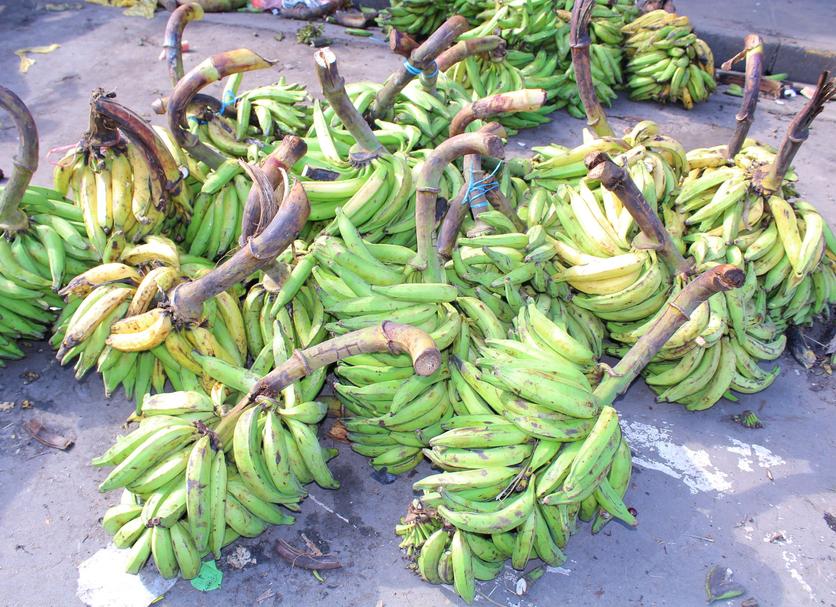 Cảnh ngoài trời Ảnh