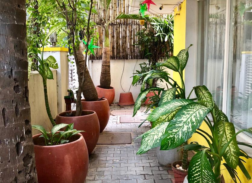 Cảnh ngoài trời Ảnh
