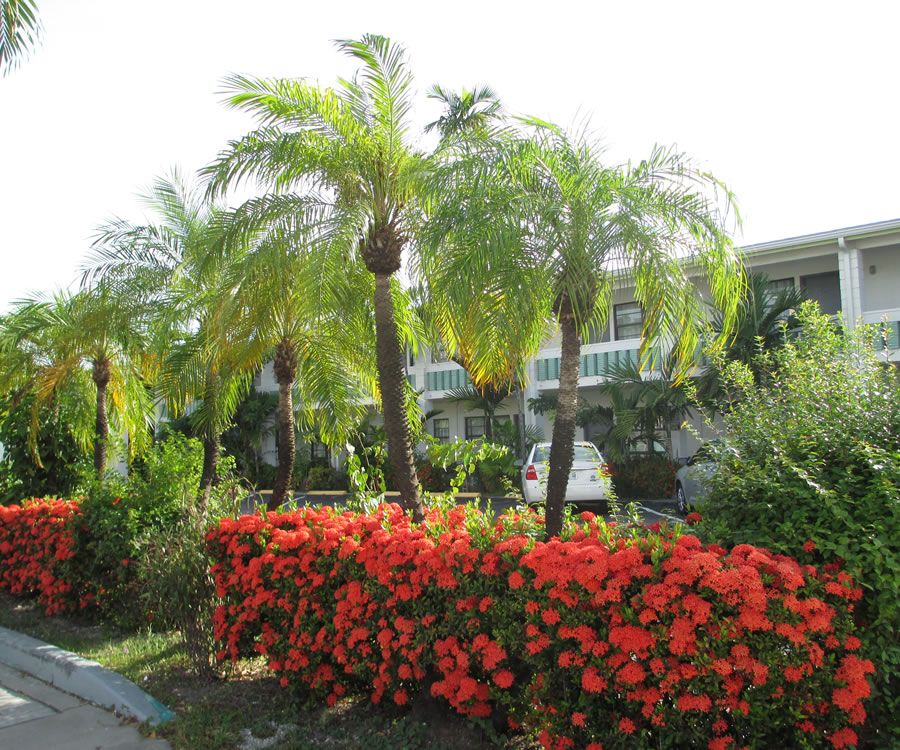 Cảnh ngoài trời Ảnh
