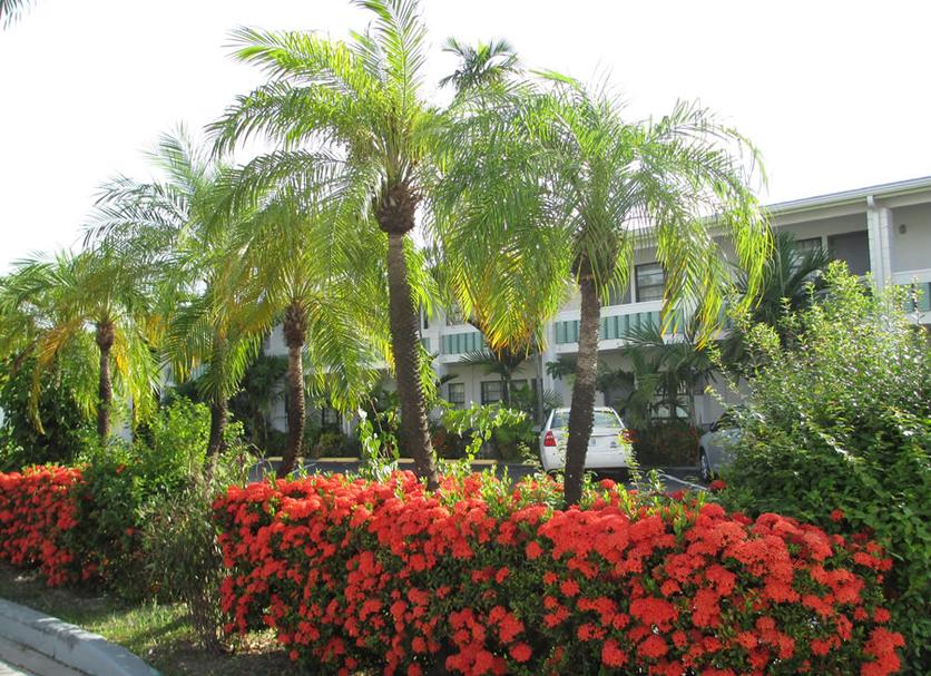 Cảnh ngoài trời Ảnh