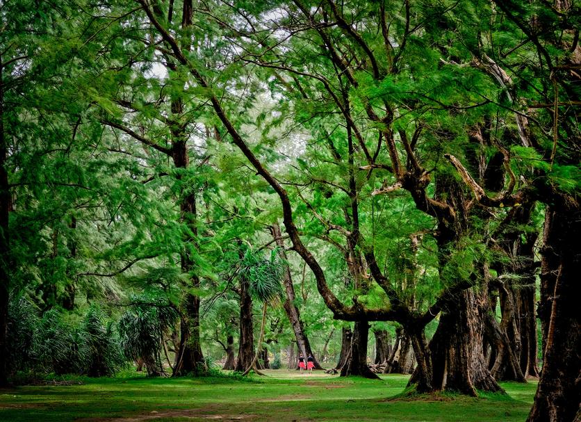 Cảnh ngoài trời Ảnh