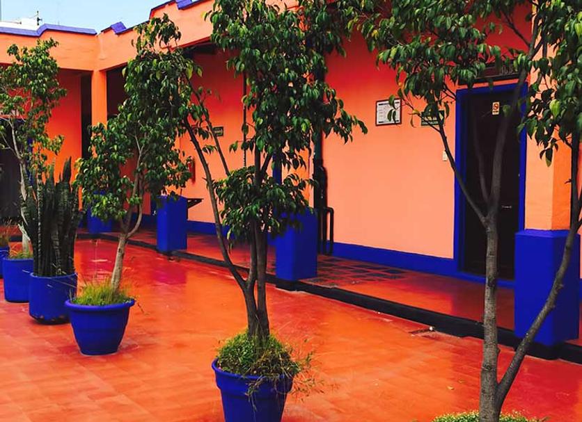 Cảnh ngoài trời Ảnh