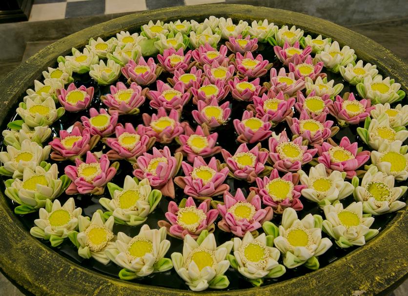 Cảnh ngoài trời Ảnh