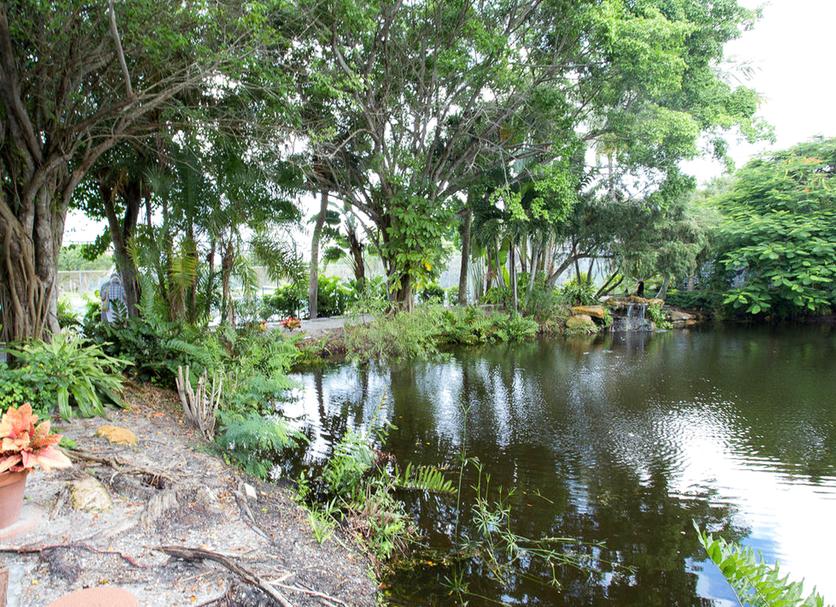 Cảnh ngoài trời Ảnh